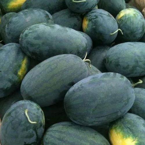 秦嘉倪反差吃瓜黑料,反差萌吃瓜达人，黑料背后的真实魅力